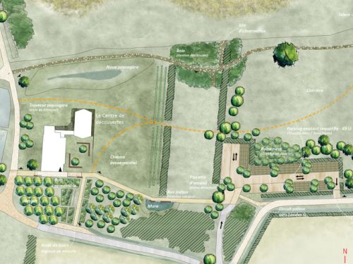 Cité des Oiseaux | Plan paysage